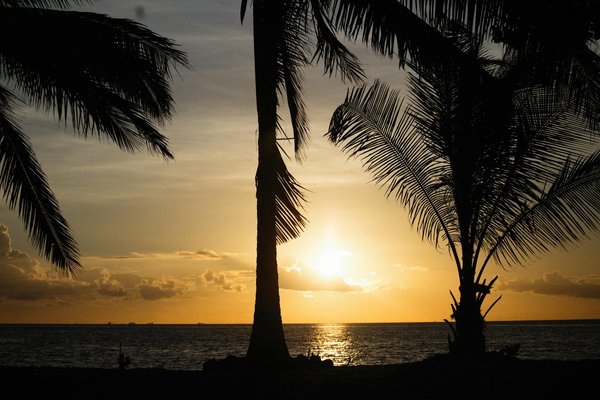 How to Secure the Ideal Edinburgh Festival Holiday Rental: Top Tips for an Unforgettable Stay