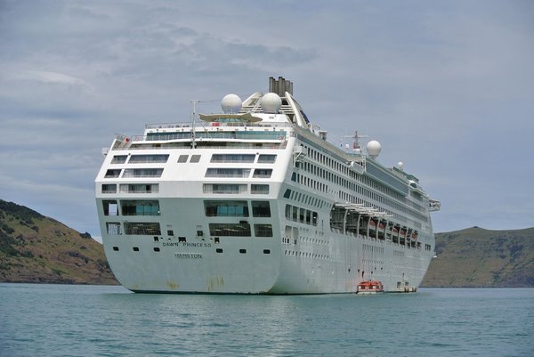 Unlock the Charm of British Wallpaper Design: An Immersive Workshop Guide for Travelers