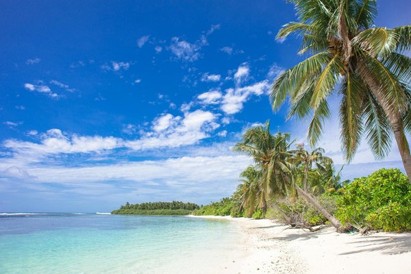 Discover Budget-Friendly Adventures for Families Amidst the Stunning Yorkshire Moors