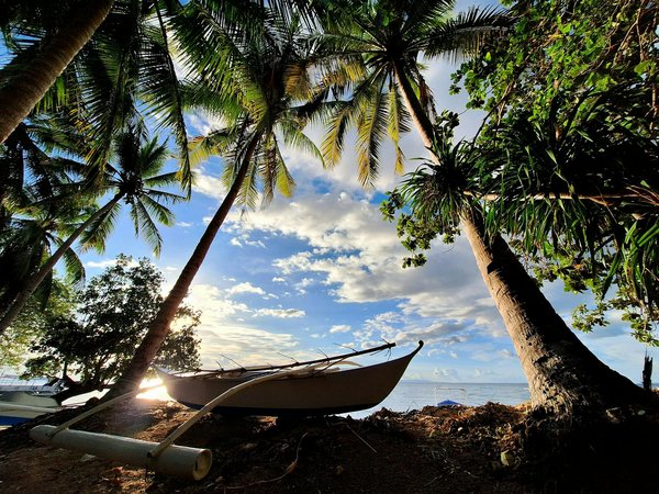 Savor London's Flavors: The Ultimate Guide to Unmissable British Street Food Delicacies